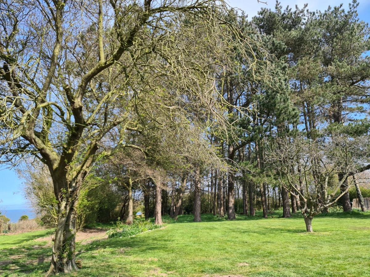 Mill Cottage Overstrand Εξωτερικό φωτογραφία